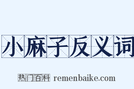 小麻子反义词是什么意思的图片
